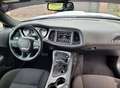 Dodge Challenger SXT 3.6 V6 Blanco - thumbnail 13