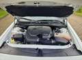 Dodge Challenger SXT 3.6 V6 Blanco - thumbnail 16