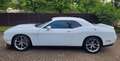 Dodge Challenger SXT 3.6 V6 Blanco - thumbnail 2