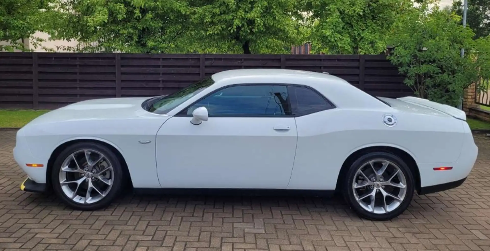 Dodge Challenger SXT 3.6 V6 Blanco - 2