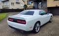 Dodge Challenger SXT 3.6 V6 Blanco - thumbnail 5