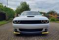 Dodge Challenger SXT 3.6 V6 Blanco - thumbnail 8