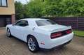 Dodge Challenger SXT 3.6 V6 Blanco - thumbnail 3