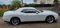 Dodge Challenger SXT 3.6 V6 Blanco - thumbnail 6