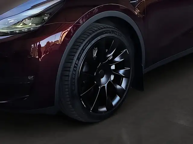 Tesla Model Y view 11