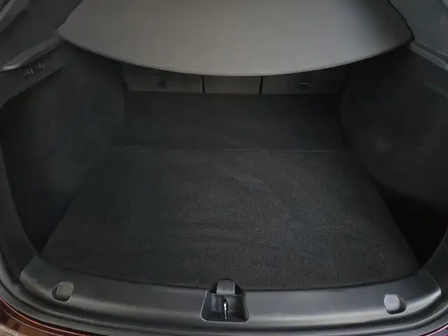 Tesla Model Y view 12
