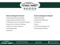 Skoda Karoq Style 1.5TSI DSG StandHZG Navi Memory LED Plateado - thumbnail 16