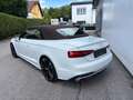 Audi A5 Cabrio 40 TFSI advanced S-tronic MMI Navi PDC Blanco - thumbnail 8