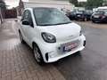 smart forTwo fortwo coupe electric drive / EQ/Alu/PDC Wit - thumbnail 6