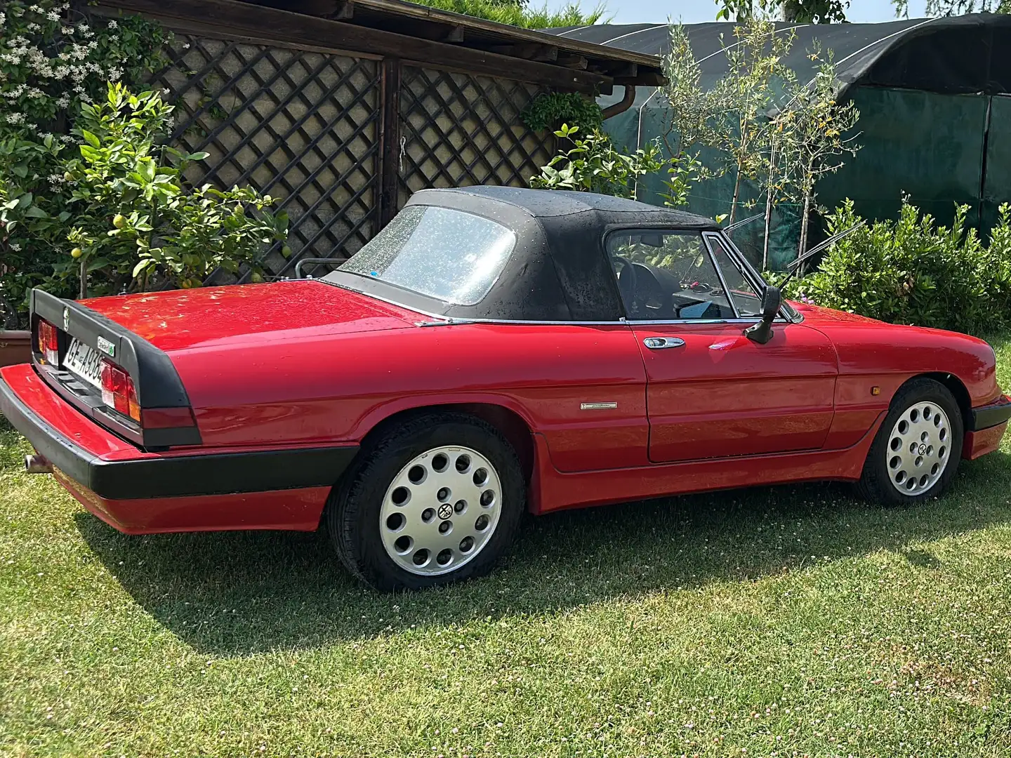 Alfa Romeo Spider Spider 2.0 Quadrifoglio Verde Rosso - 2
