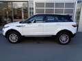 Land Rover Range Rover Evoque Pure 2,0 TD4 Aut. Weiß - thumbnail 4