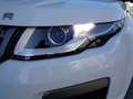 Land Rover Range Rover Evoque Pure 2,0 TD4 Aut. Weiß - thumbnail 21