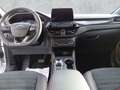 Ford Kuga Plug-In Hybrid ST-Line X Blanc - thumbnail 14