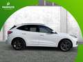 Ford Kuga Plug-In Hybrid ST-Line X Blanc - thumbnail 6