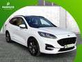 Ford Kuga Plug-In Hybrid ST-Line X Blanc - thumbnail 7