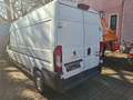 Peugeot Boxer 335 L3H2 Avantage Edition 130 Lift Ladebordwand! Weiß - thumbnail 5
