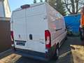 Peugeot Boxer 335 L3H2 Avantage Edition 130 Lift Ladebordwand! Weiß - thumbnail 4