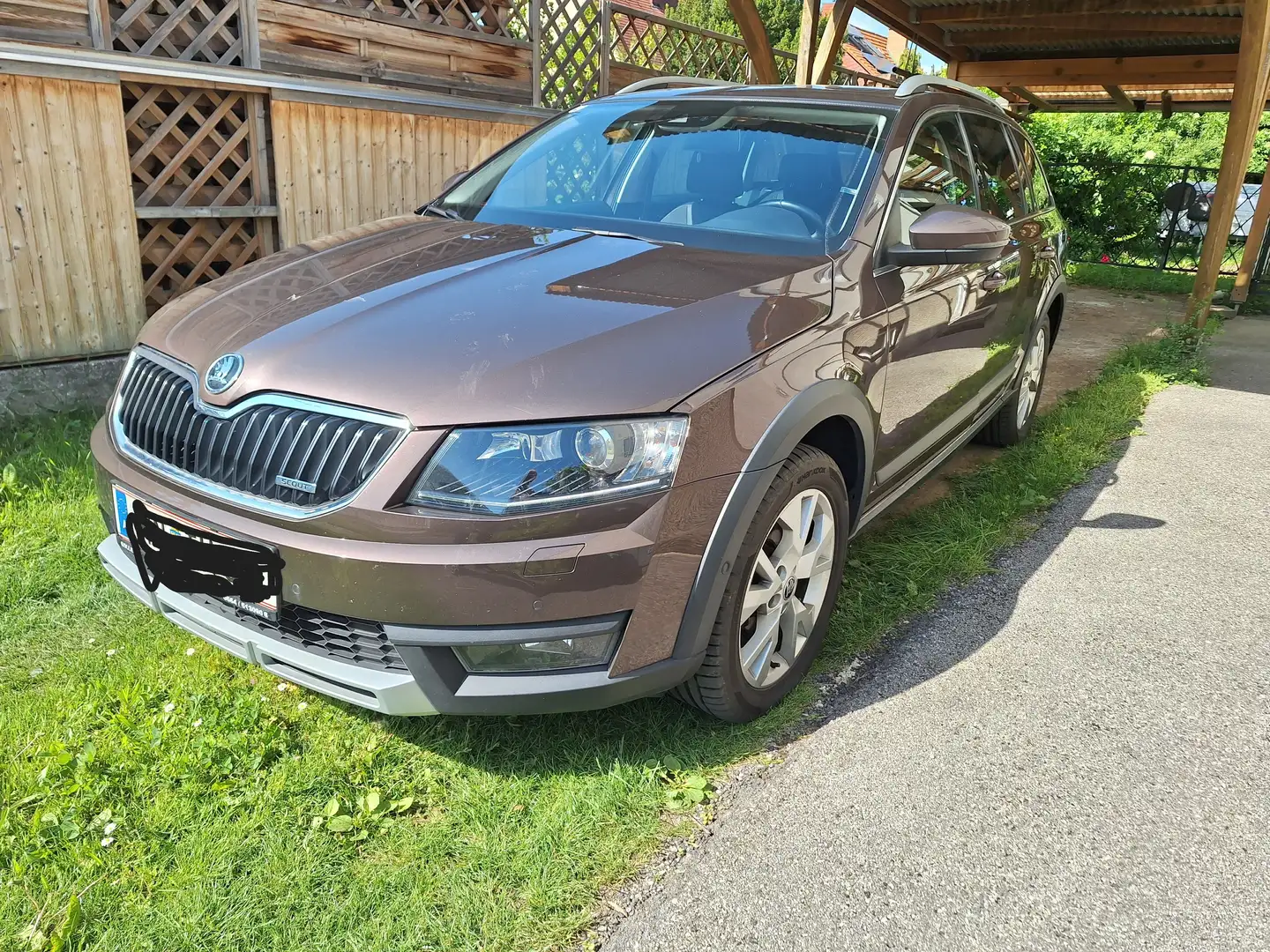 Skoda Octavia Octavia Combi 2,0 TDI 4x4 Scout DSG Scout Braun - 1