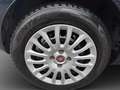 Fiat Punto 1.3 MJT 95 CV STREET-CRUISE-SENSORI-X NEOPATENTATI Blau - thumbnail 20