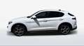 Alfa Romeo Stelvio Stelvio 2.2 t Executive Q4 190cv auto my19 Blanc - thumbnail 4