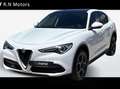 Alfa Romeo Stelvio Stelvio 2.2 t Executive Q4 190cv auto my19 Blanc - thumbnail 1