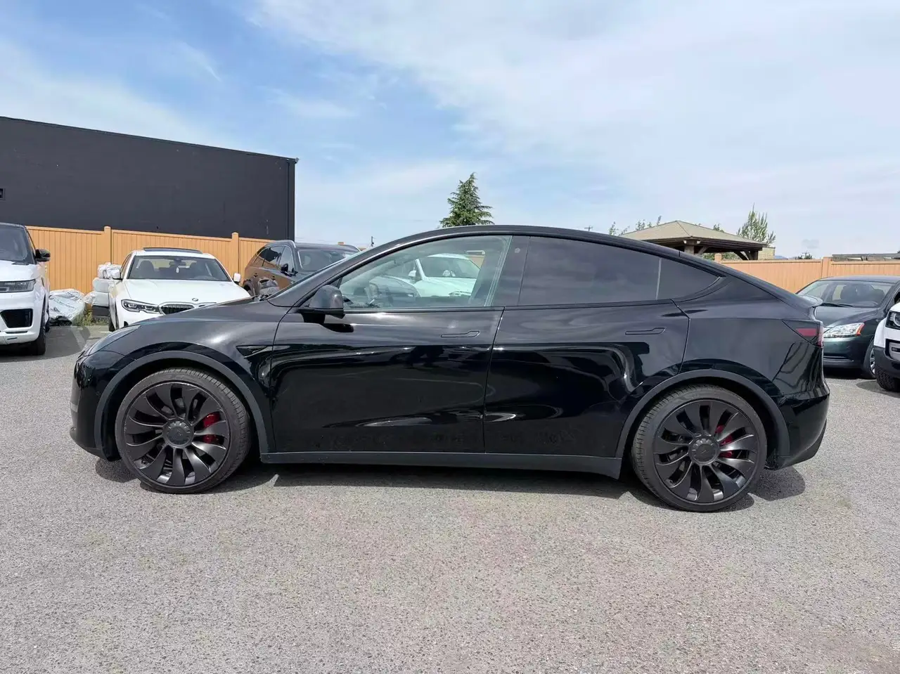 Tesla Model Y photo Tesla Model Y