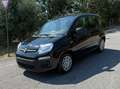 Fiat Panda Panda 1.0 firefly hybrid s Nero - thumbnail 1