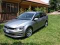 Volkswagen Golf Variant 1.6TDI EURO6 Comfortine Business BMT 110cv 17" Grigio - thumbnail 2