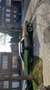 Buick Sonstige centurion - thumbnail 5