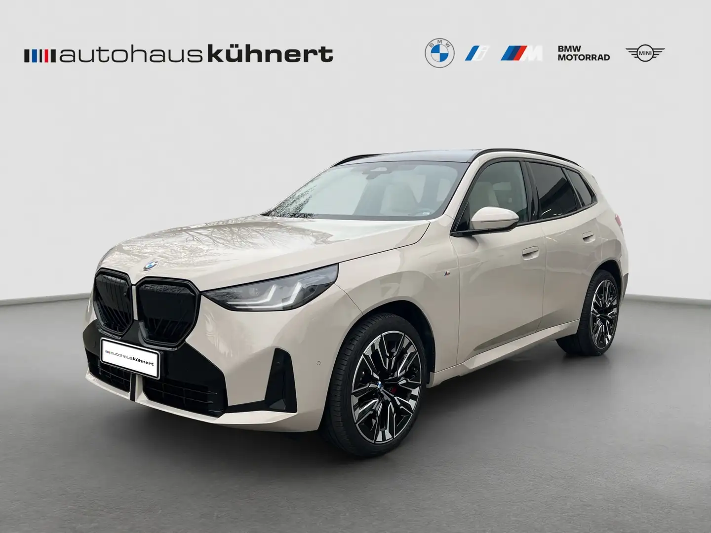 BMW X3 20d xDrive ///M-Sport PRO ACC Pano StHzg 360° AHK Grau - 1