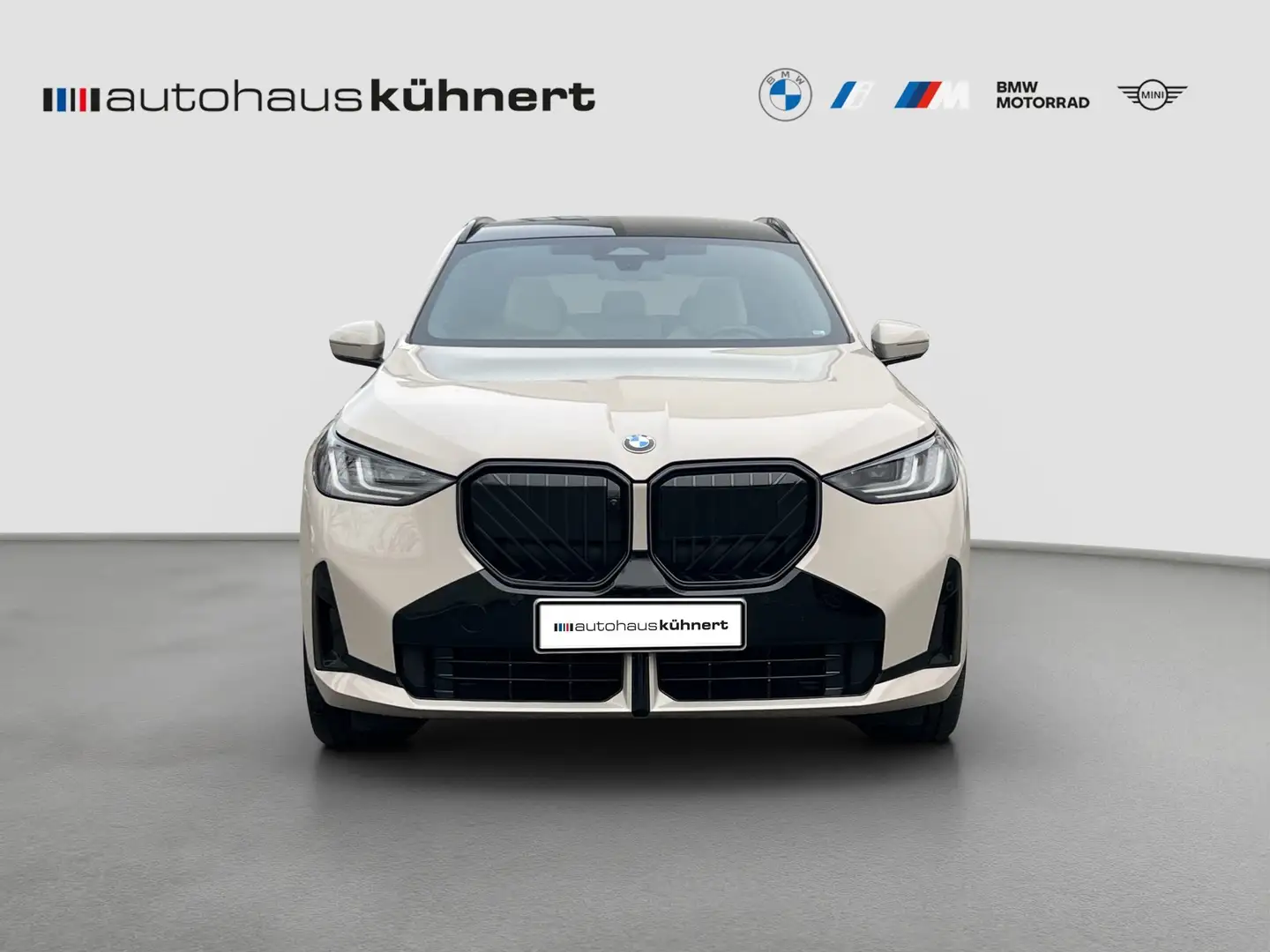 BMW X3 20d xDrive ///M-Sport PRO ACC Pano StHzg 360° AHK Grau - 2