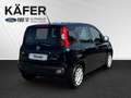 Fiat Panda 4x2 FireFly Hybrid 70 Pandina *ParkPilot* Schwarz - thumbnail 6