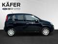 Fiat Panda 4x2 FireFly Hybrid 70 Pandina *ParkPilot* Schwarz - thumbnail 5