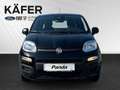 Fiat Panda 4x2 FireFly Hybrid 70 Pandina *ParkPilot* Schwarz - thumbnail 2