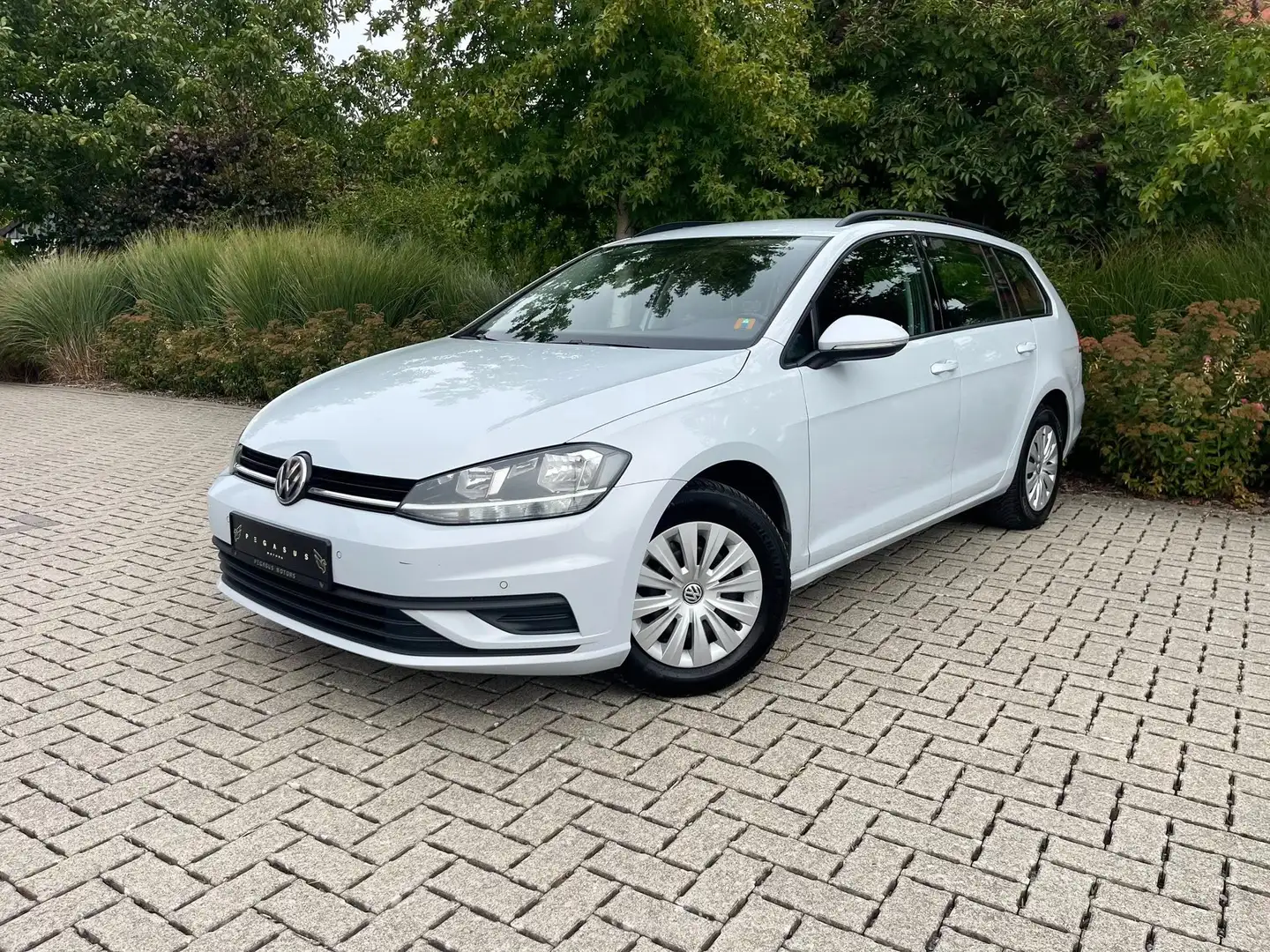 Volkswagen Golf Variant 1.6 - 2017/183.000km/Euro 6b - Manueel Blanc - 1