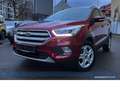 Ford Kuga Automatik*Navi*Carplay*SHZ*Tempo* Rot - thumbnail 11