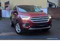 Ford Kuga Automatik*Navi*Carplay*SHZ*Tempo* Rot - thumbnail 1