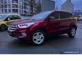 Ford Kuga Automatik*Navi*Carplay*SHZ*Tempo* Rot - thumbnail 17