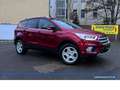 Ford Kuga Automatik*Navi*Carplay*SHZ*Tempo* Rot - thumbnail 21