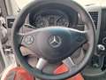 Mercedes-Benz Sprinter 319 CDI 3.0 Wit - thumbnail 18