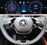 Skoda Superb Combi 1.5 TSI mHEV Selection AHK*LED*NAV*SHZ*AC... Gelb - thumbnail 12
