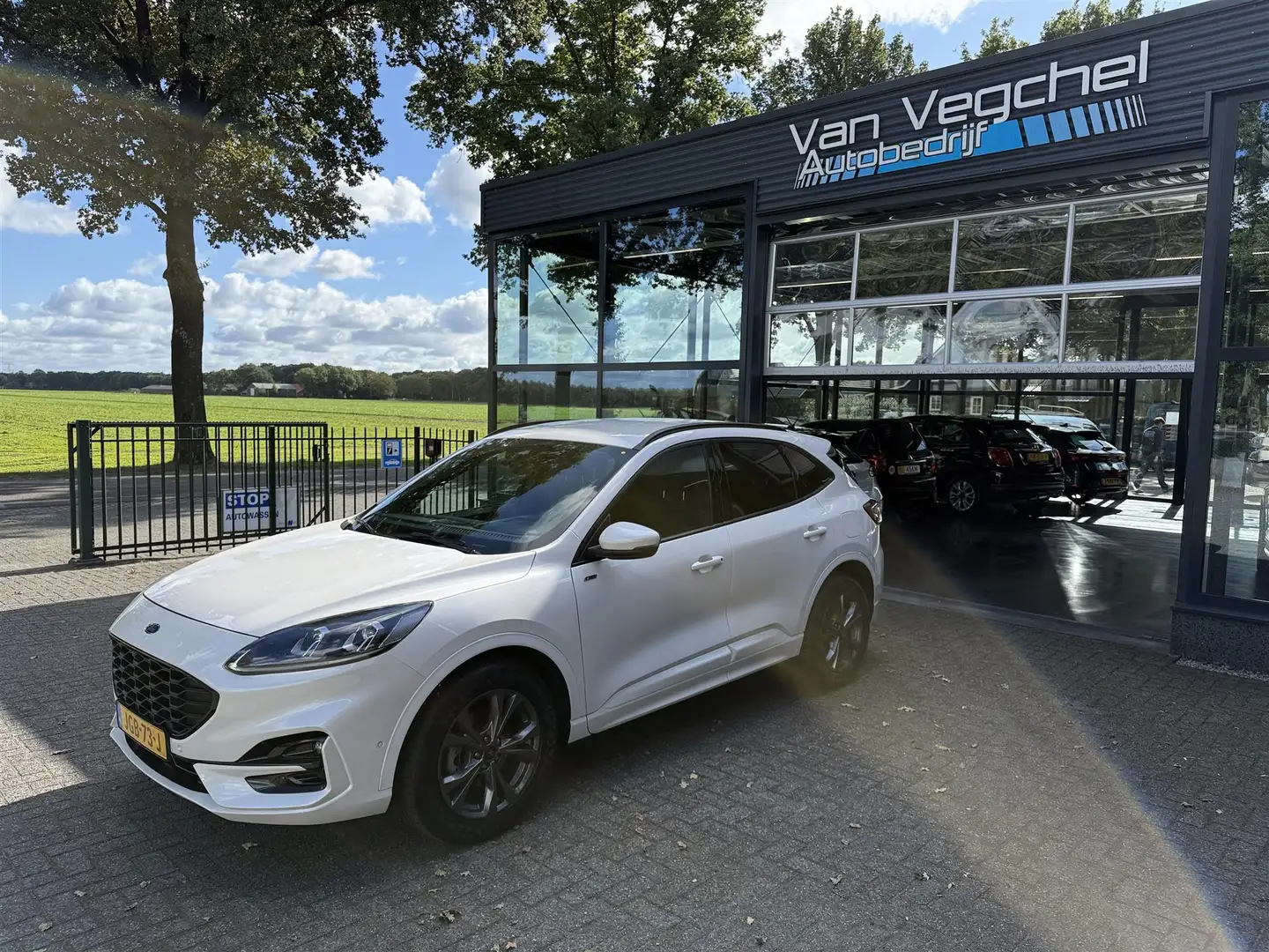 Ford Kuga 1.5 EcoB. ST-Line X 1800 kg trekgewicht. Wit - 1