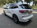 Ford Kuga 1.5 EcoB. ST-Line X 1800 kg trekgewicht. Wit - thumbnail 3