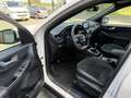 Ford Kuga 1.5 EcoB. ST-Line X 1800 kg trekgewicht. Wit - thumbnail 12