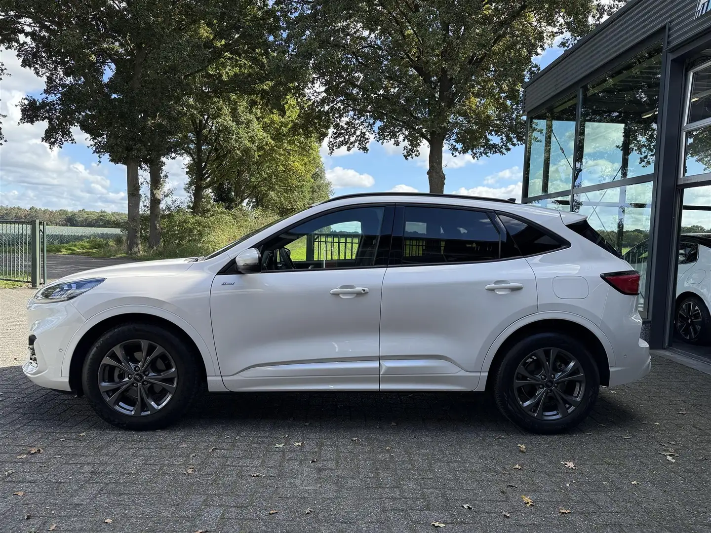 Ford Kuga 1.5 EcoB. ST-Line X 1800 kg trekgewicht. Wit - 2