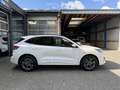 Ford Kuga 1.5 EcoB. ST-Line X 1800 kg trekgewicht. Wit - thumbnail 6