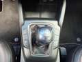 Ford Kuga 1.5 EcoB. ST-Line X 1800 kg trekgewicht. Wit - thumbnail 19