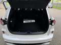 Ford Kuga 1.5 EcoB. ST-Line X 1800 kg trekgewicht. Wit - thumbnail 29