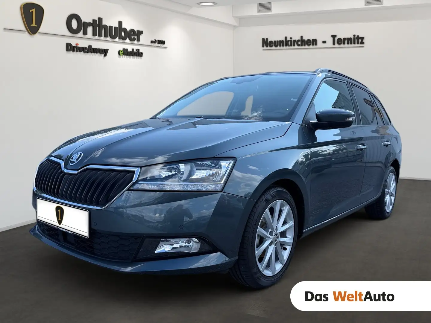Skoda Fabia Style TSI Grau - 1