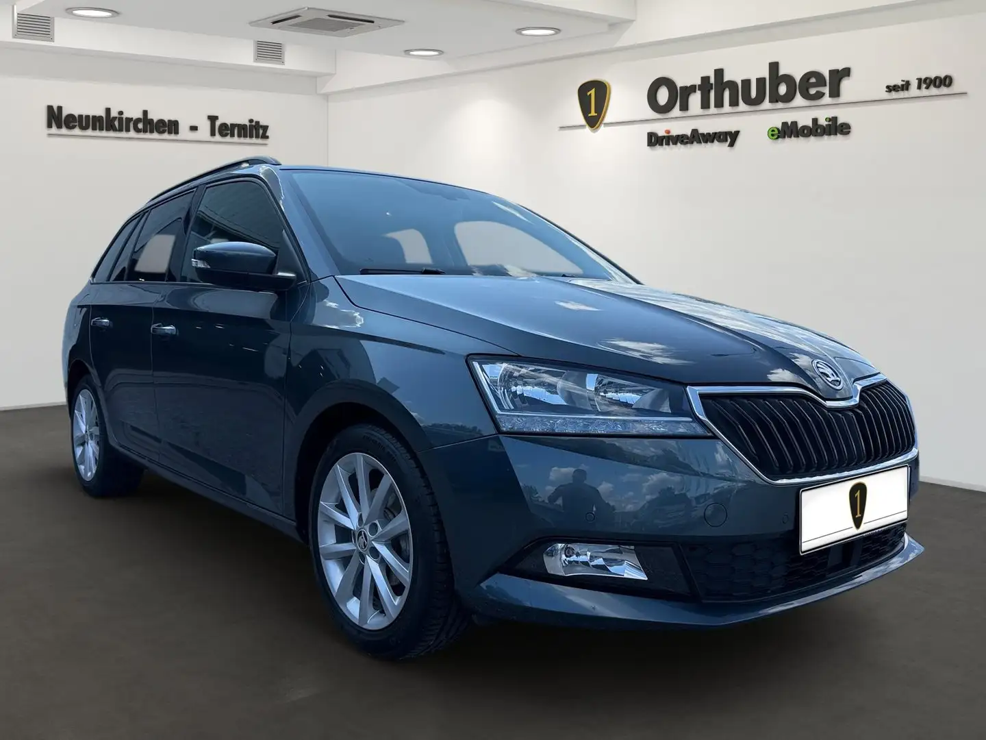 Skoda Fabia Style TSI Grau - 2